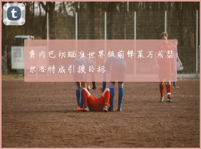 费内巴切瞄准世界级前锋莱万或瑟尔洛特成引援目标