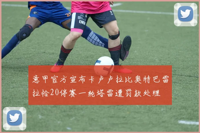 意甲官方宣布卡卢卢拉比奥特巴雷拉恰20停赛一轮塔雷遭罚款处理
